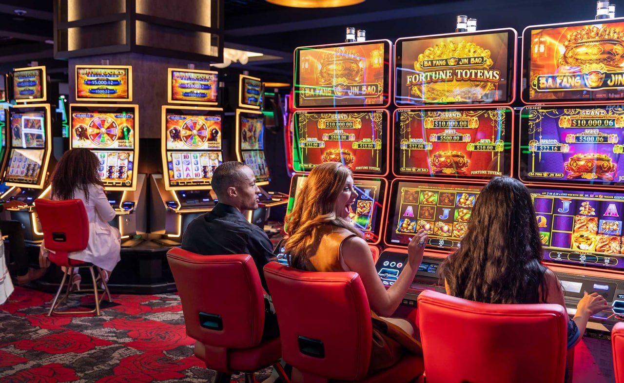 live casino